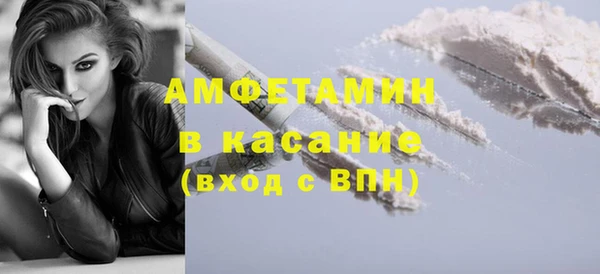 прущие грибы Грязовец