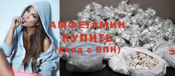 амф Гатчина
