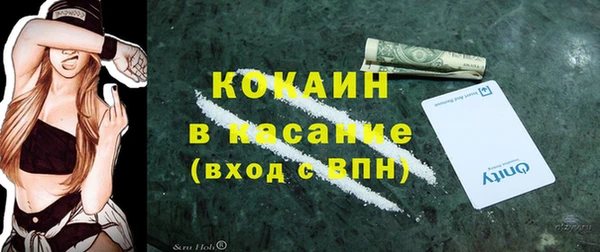 амф Гатчина
