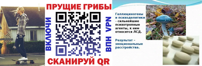 площадка состав  Апатиты  Псилоцибиновые грибы Magic Shrooms 