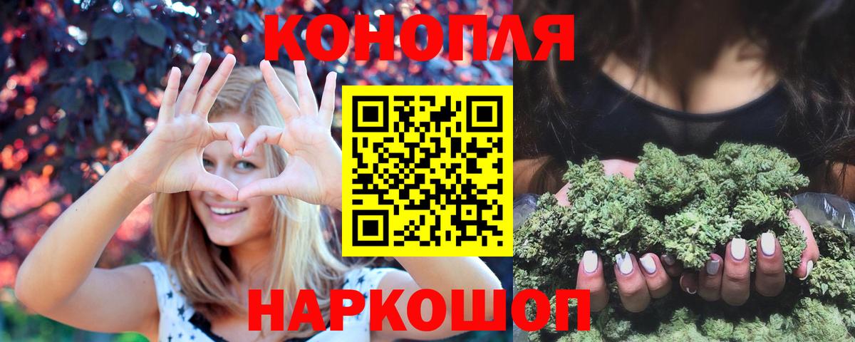 Канабис сатива Апатиты